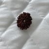 11-mukhi-rudraksha