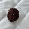 15-mukhi-rudraksha