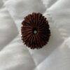 20-mukhi-rudraksha