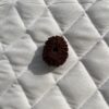 21-mukhi-rudraksha