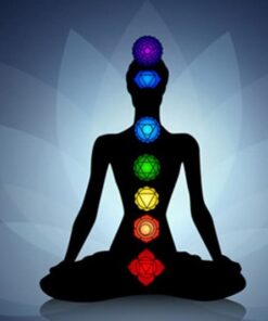 7 Chakras Balancing Puja