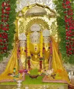 Book and Perform Maa Baglamukhi Puja
