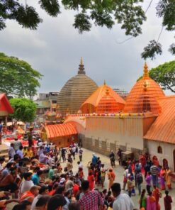 Kamakhya Puja On Navratri