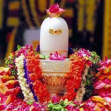 Maha Rudrabhishek Puja