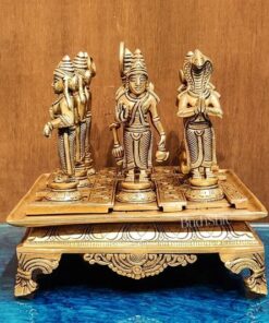 Navagraha Shanti Puja