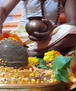 Shrapit Dosh Nivaran Puja